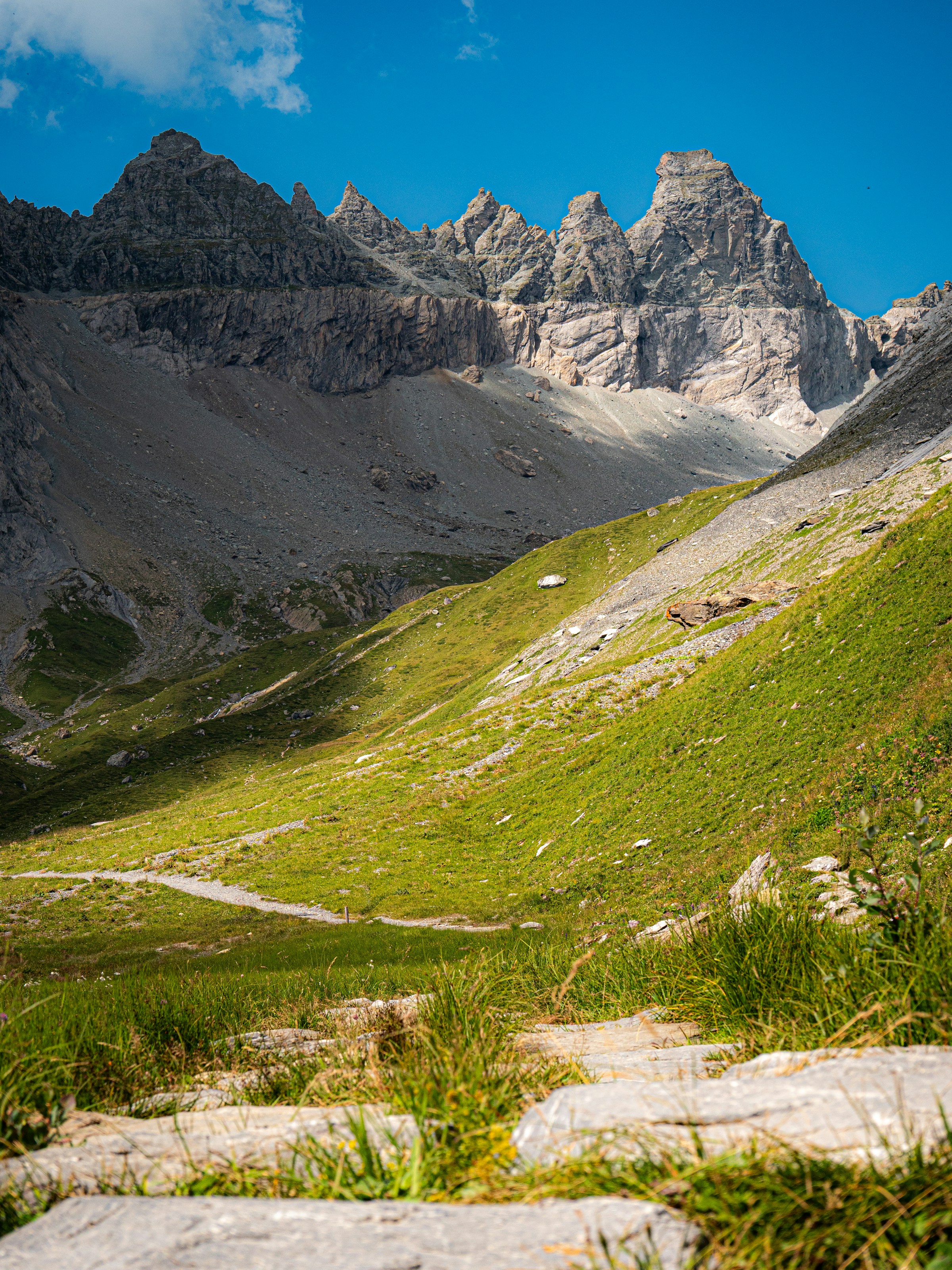 A path crosses green Unterer Segnesboden beneath rocky peaks in Flims. Photograph by Christopher Politano, Unsplash.