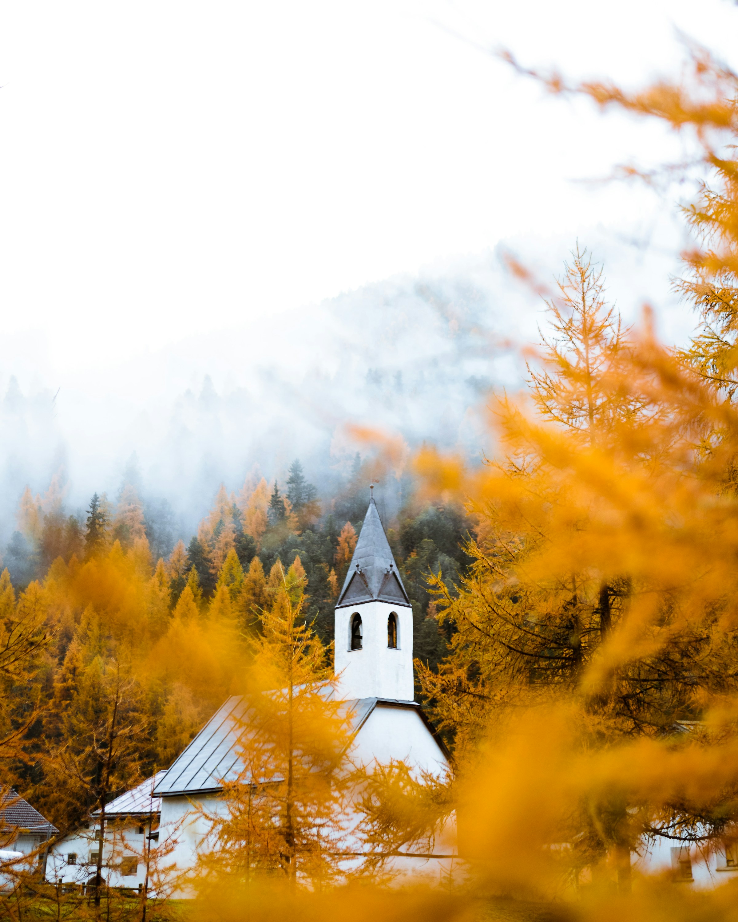 A church among golden larches and snow in the Scuol area, photographed by Corsin Taisch in 2020